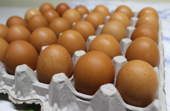 Nutri Spring Farms Certified Organic Pastured Brown Eggs Nutri Spring Farms Certified Organic Pastured Brown Eggs