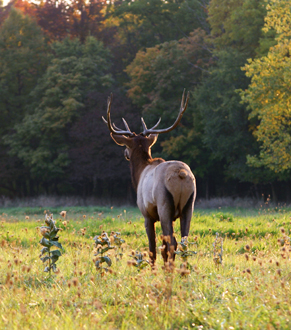Morden's Organic Farm Store - Elk Morden's Organic Farm Store - Elk